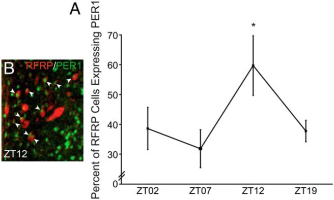 Figure 5.