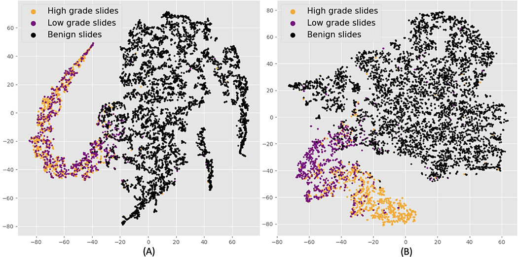 Figure 6: