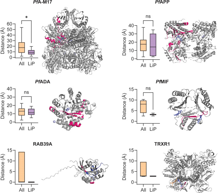 Figure 5—figure supplement 2.