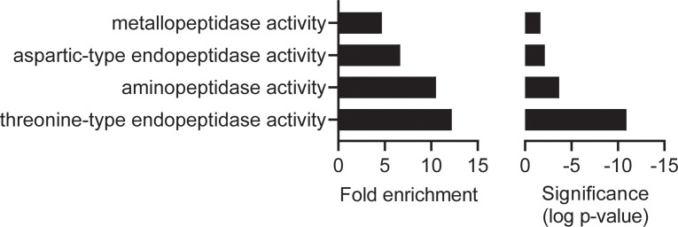 Figure 4—figure supplement 1.