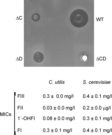 Fig. 7