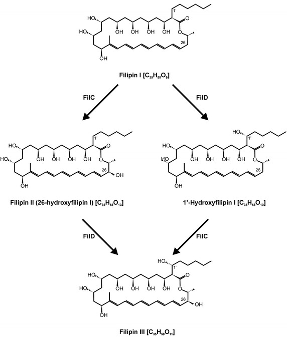 Fig. 6