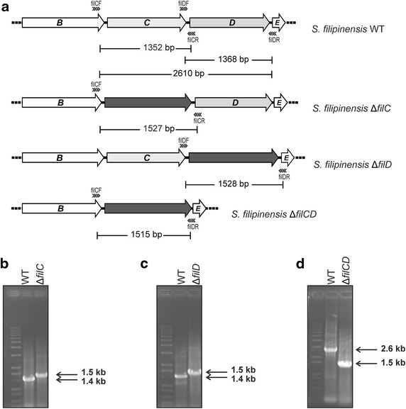 Fig. 3