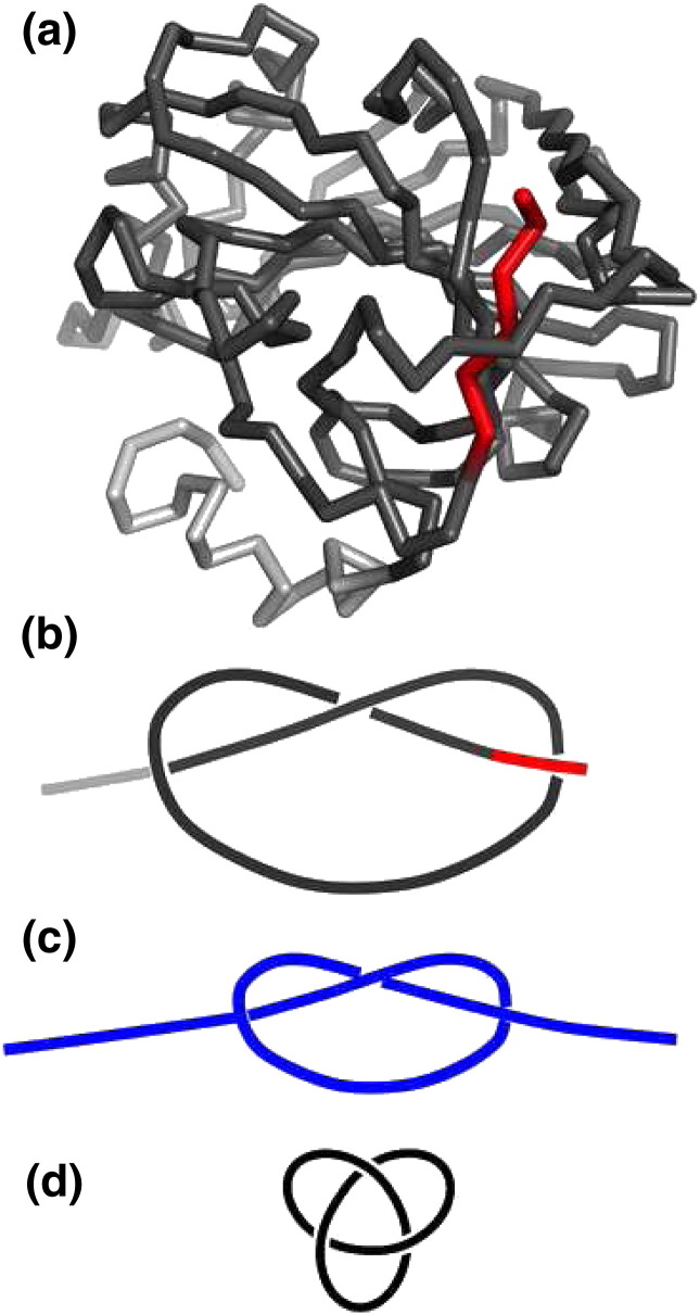 Fig. 1