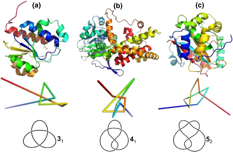 Fig. 2