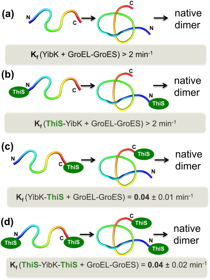 Fig. 7