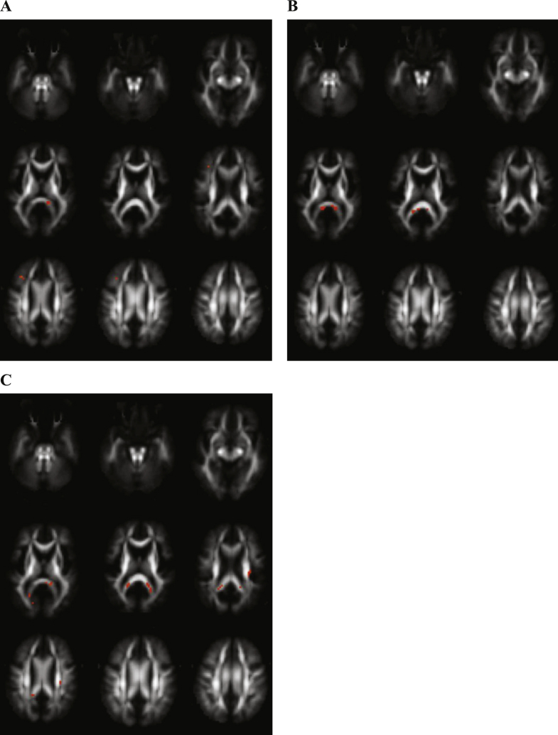 Fig.2