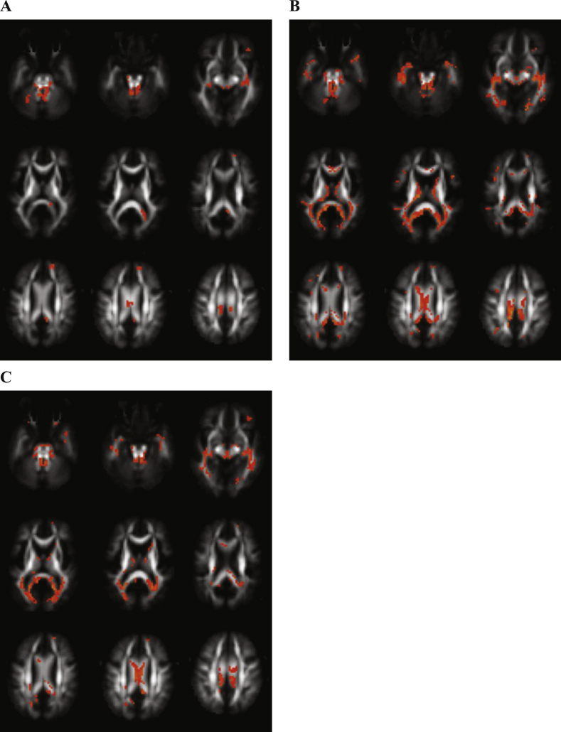 Fig.1