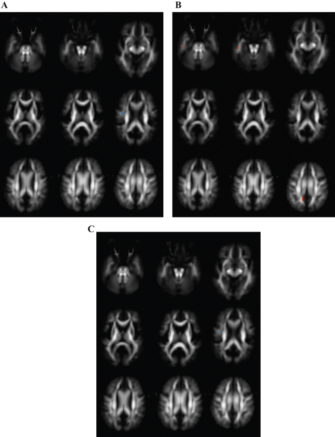 Fig.3