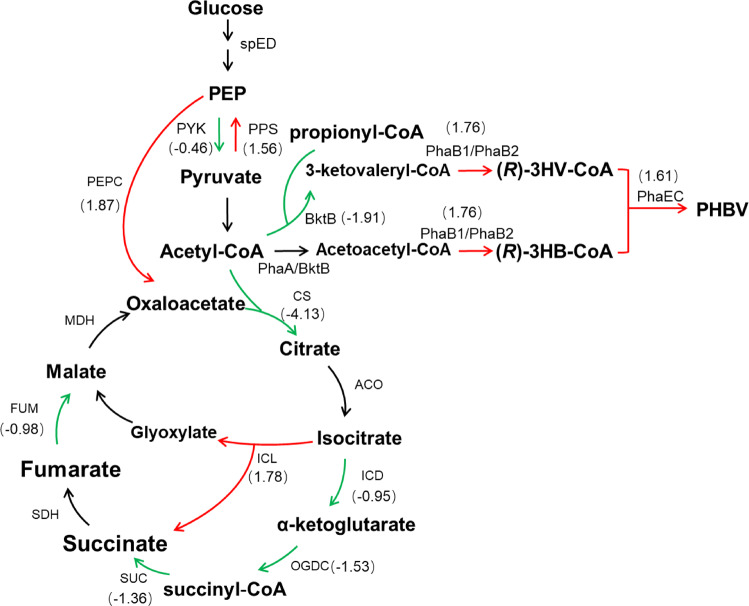 Fig. 7