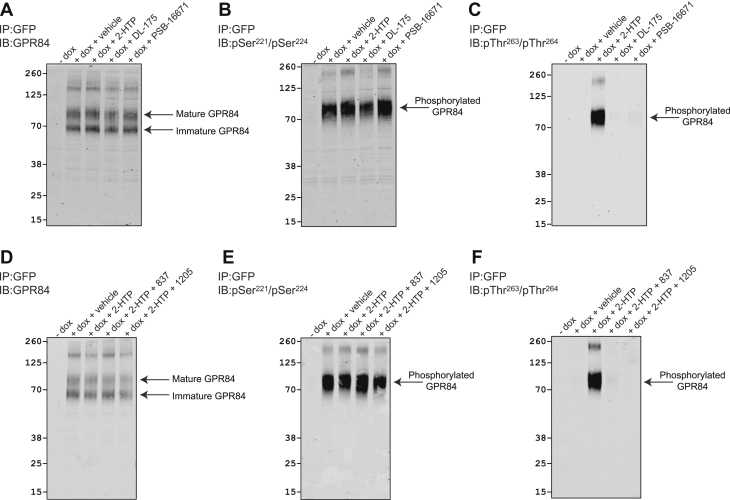 Figure 6