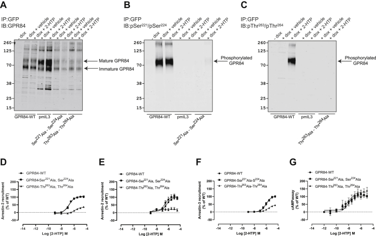 Figure 7