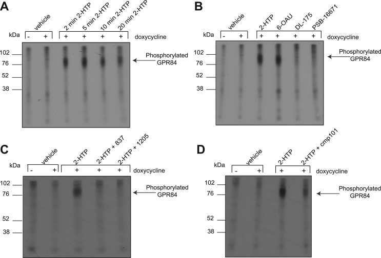 Figure 2