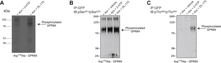 Figure 10