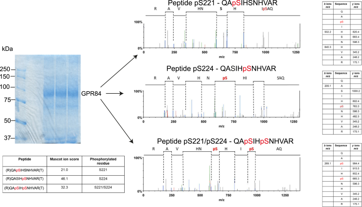 Figure 4