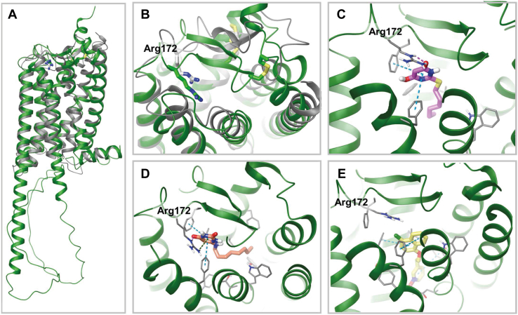 Figure 12