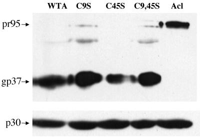 FIG. 3