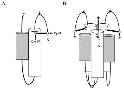 FIG. 6