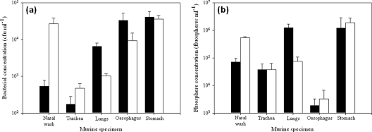 FIG. 5.