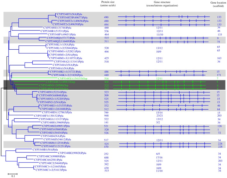 Figure 11