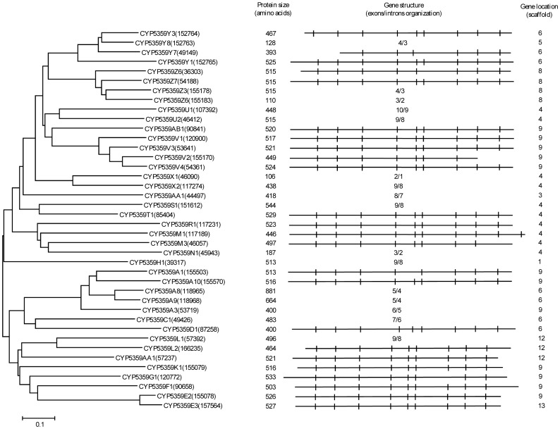 Figure 12