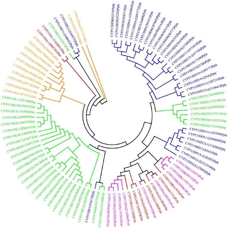 Figure 10