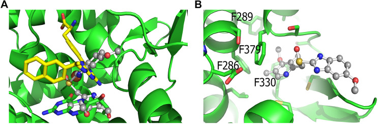 FIGURE 6