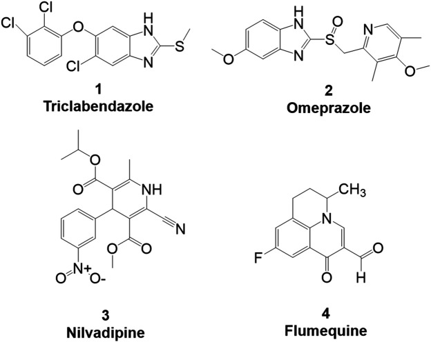 FIGURE 1