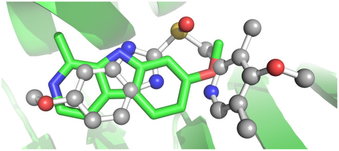 FIGURE 7