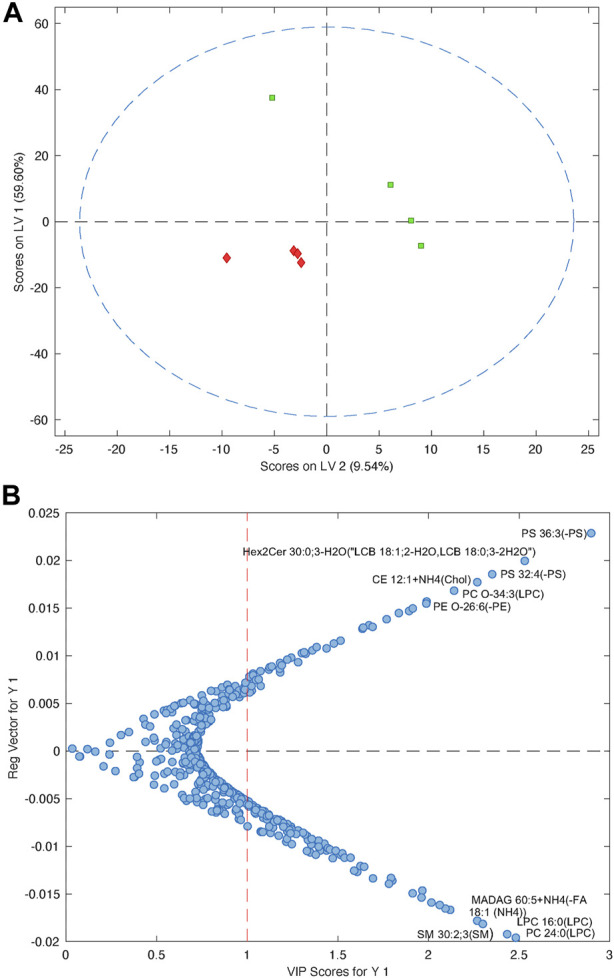 FIGURE 6