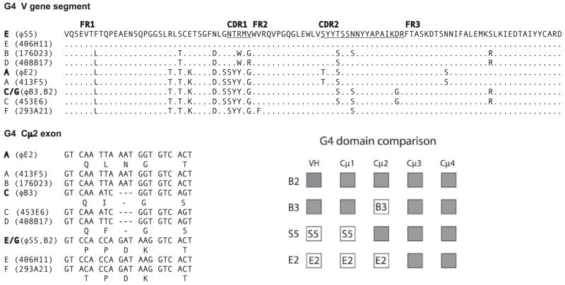 FIGURE 4