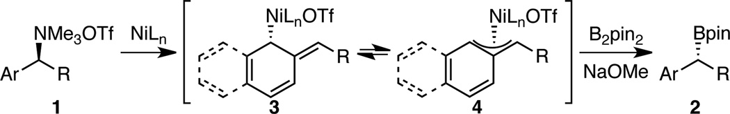 Scheme 4