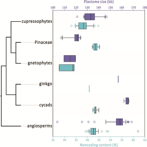 Fig. 2.—