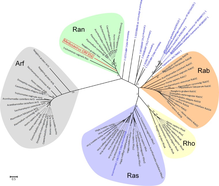 FIG 6