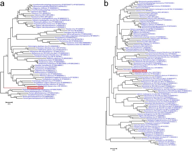 FIG 11