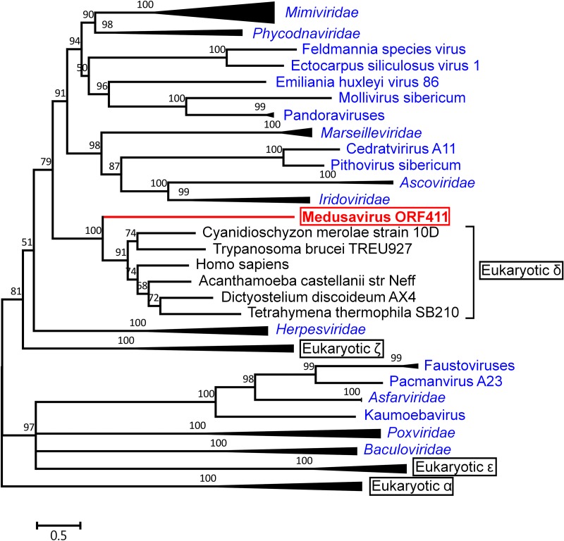 FIG 13