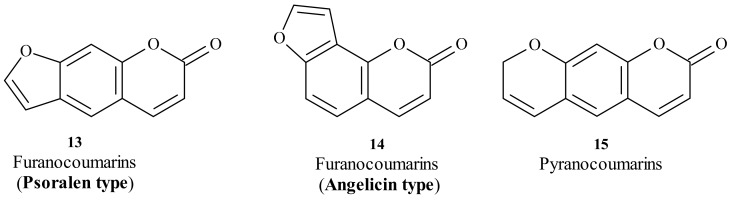 Antagonists of Vitamin K—Popular Coumarin Drugs and New Synthetic and ...