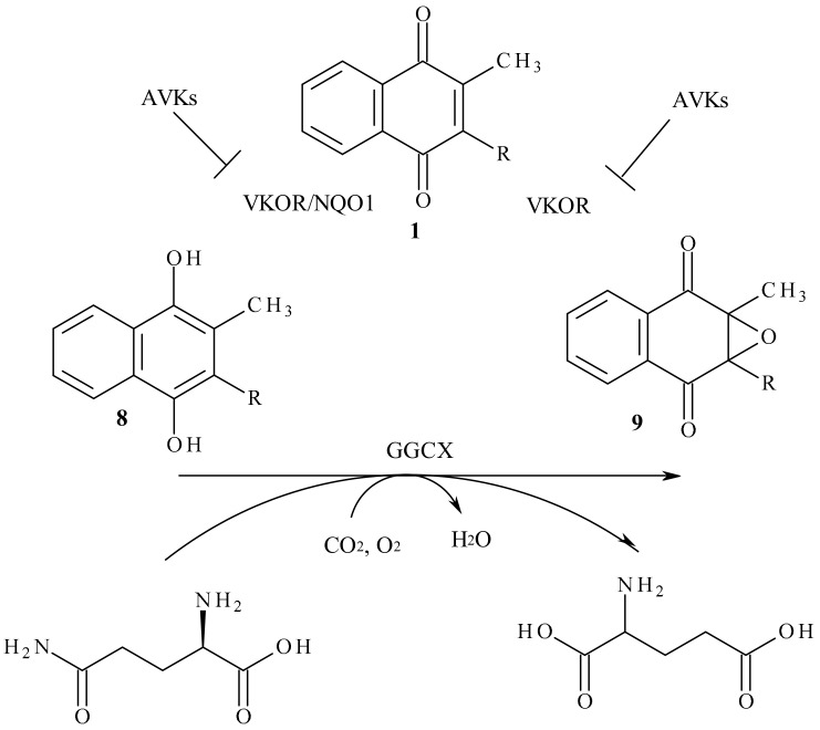 Scheme 1