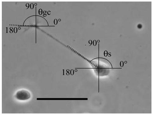 Fig.1