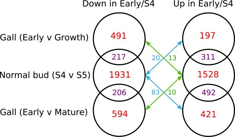 Fig 4