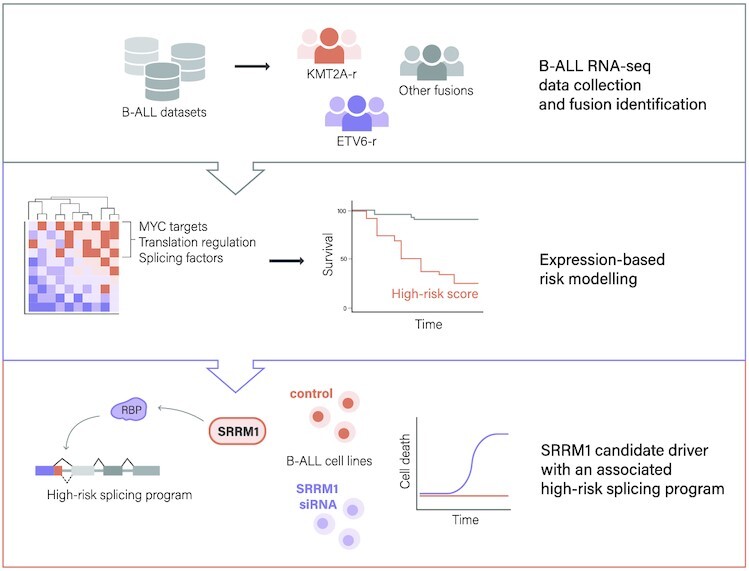 Graphical Abstract