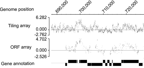 FIG. 1.