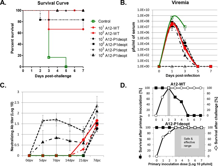 FIG 6