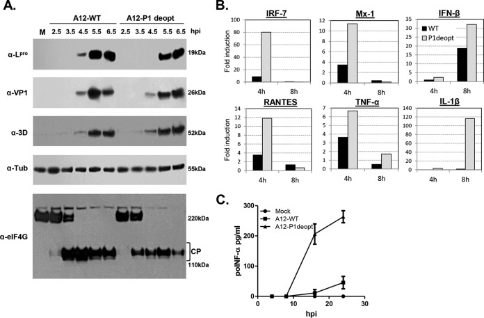 FIG 3