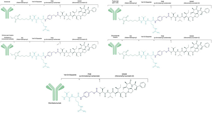 FIGURE 4