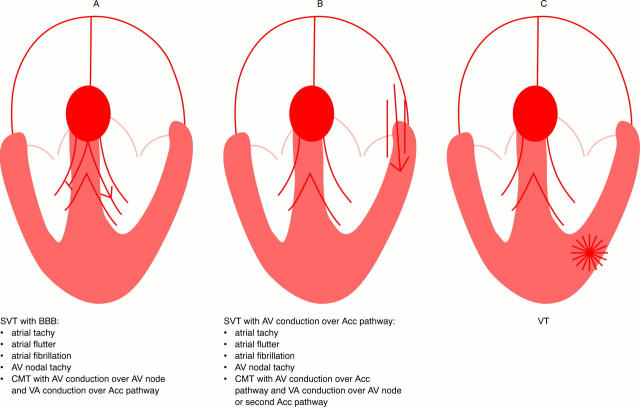 Figure 1:  