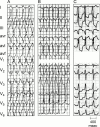 Figure 13: