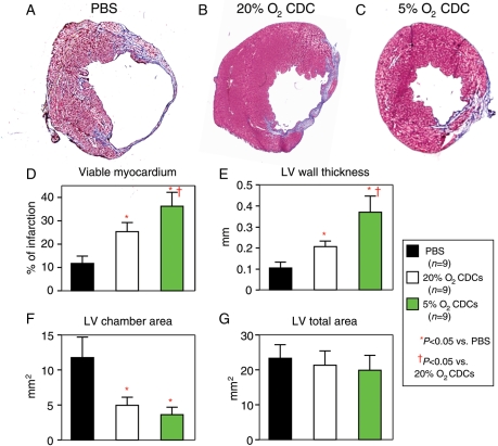 Figure 6