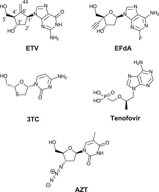 Figure 2