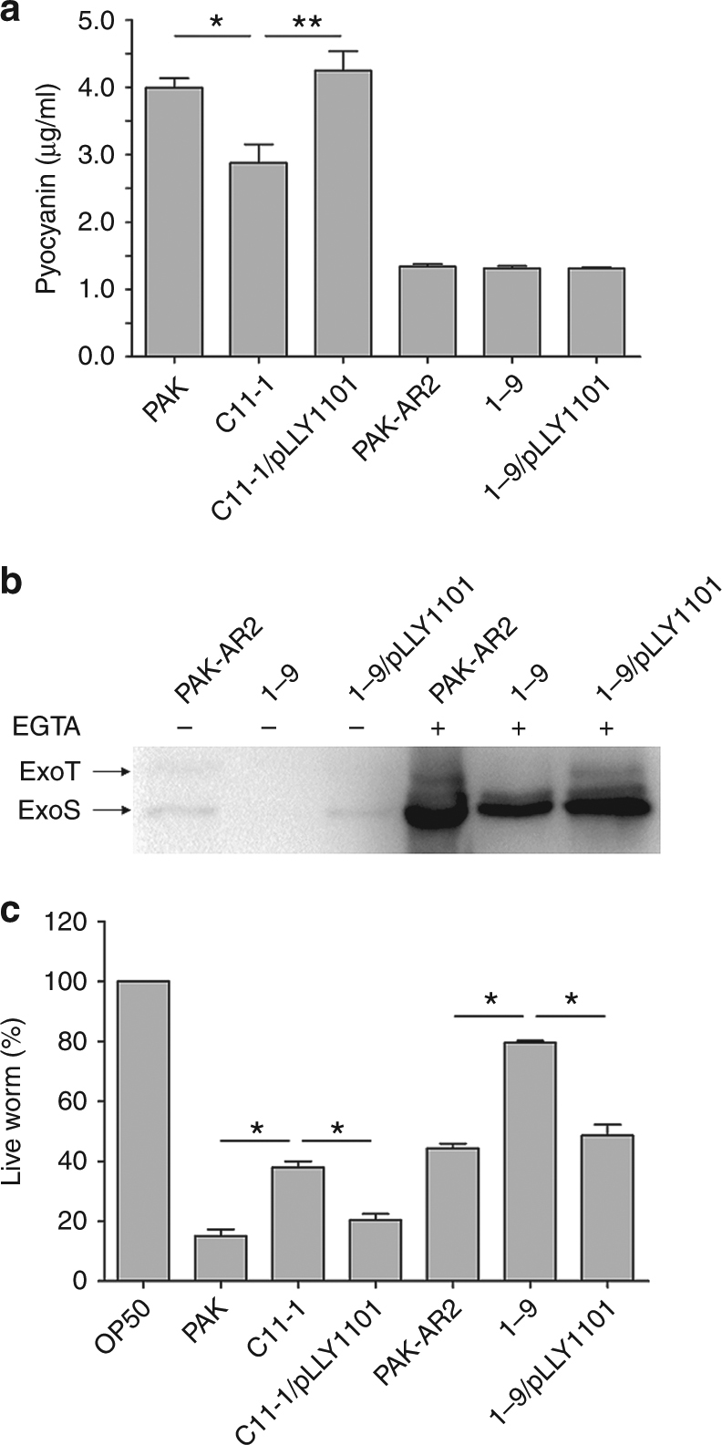 Fig. 6